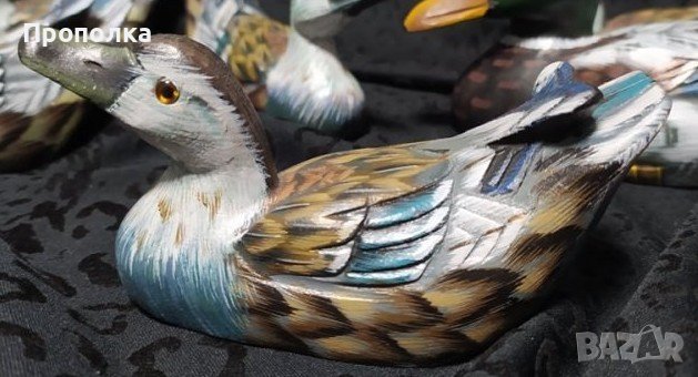 Дива дървена патица, снимка 1