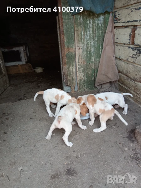 Продавам, снимка 1