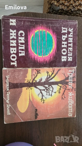 Книги на Петър Дънов 1993 год., снимка 1