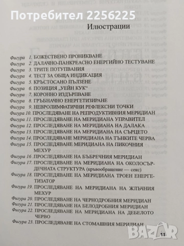 Енергийна медицина, снимка 9 - Специализирана литература - 55776270