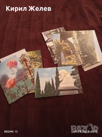 Ретро пощенски картички НИКИТСКИ БОТАНИЧЕСКИ ГРАДИНИ за КОЛЕКЦИЯ ДЕКОРАЦИЯ 7503, снимка 6 - Филателия - 51883333