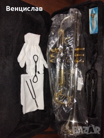 В тромпет , снимка 7 - Духови инструменти - 54069290