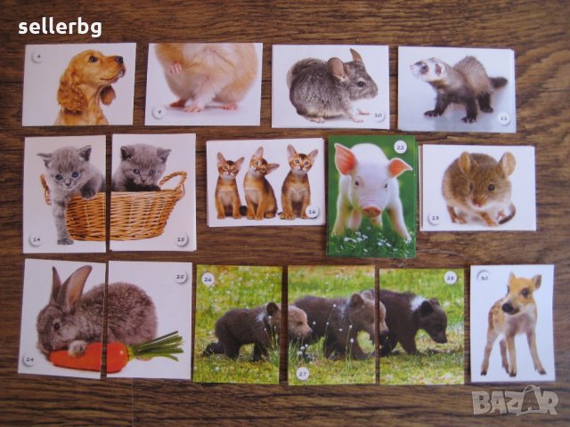 Картинки стикери лепенки Фантастико - Бебета животни, снимка 1 - Колекции - 31985620