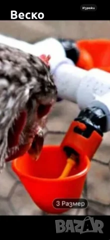 Хранилки и поилки за кокошки, снимка 4 - За птици - 50635598