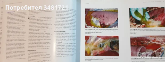 Атлас на болестите по животните / Atlas des Maladies Animales Transfrontalières, снимка 5 - Специализирана литература - 49756394