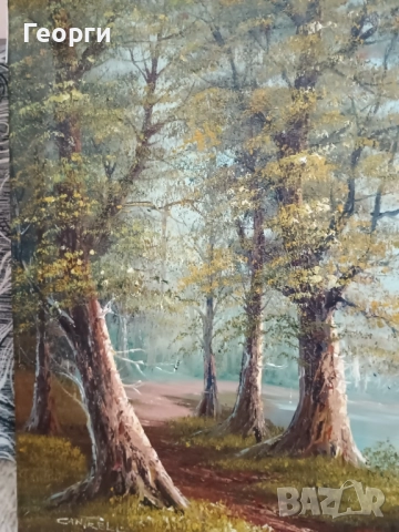 Картина масло,Cantrell, снимка 3 - Картини - 52132980
