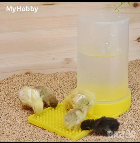 поилки за малки пилета