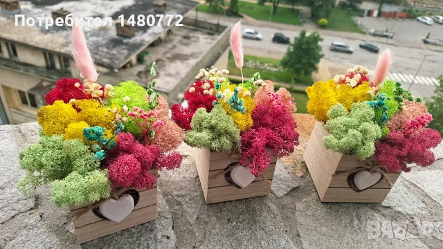 Дървени кашпи с цветя и скандинавски мъх , снимка 16 - Декорация за дома - 48523781
