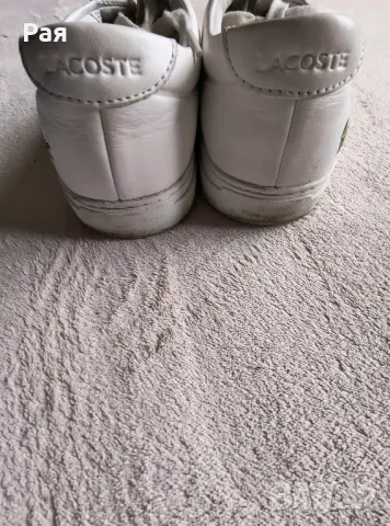 Мъжки спотни обувки Lacoste L.12.12, снимка 5 - Спортно елегантни обувки - 50351651