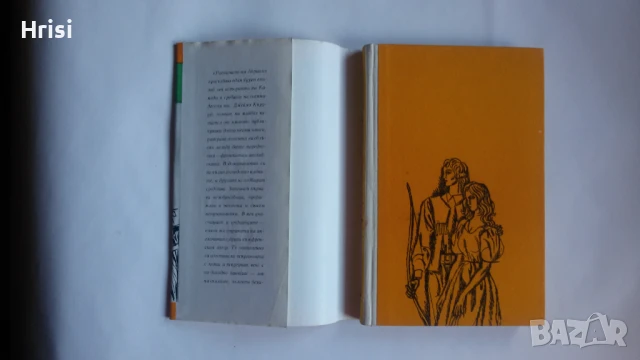 Равнините на Абраам - Дж. Оливър Кърууд, снимка 3 - Художествена литература - 50939274