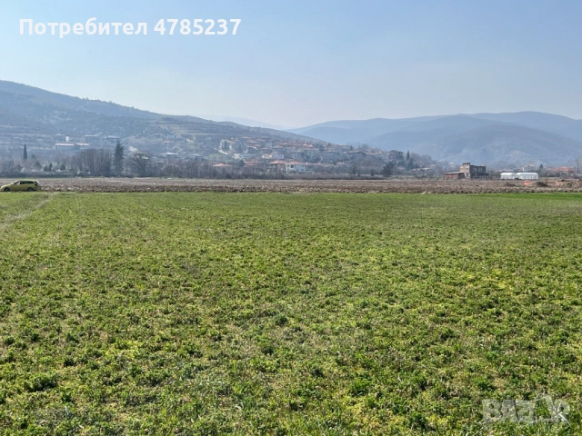 От Собственик УПИ Марково-Фиданлъка, снимка 4 - Парцели - 54062730