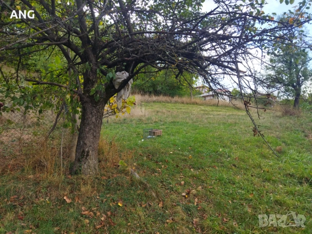 Продава парцел в гр.Смолян, снимка 6 - Парцели - 51940504