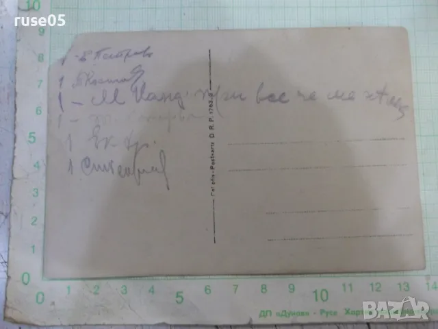 Снимка стара на група сред природата, снимка 2 - Колекции - 47915704