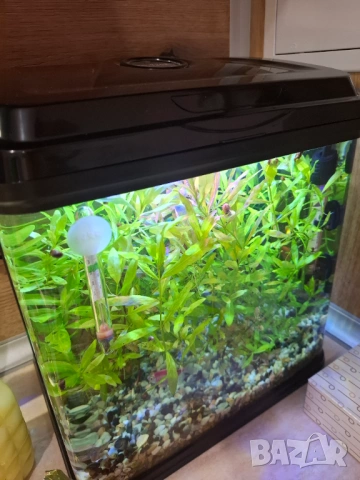 Аквариум RS 320 EL - черен в комплект със всичко необходимо