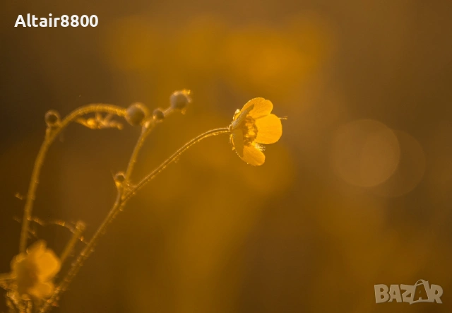 Nikon AF-S 55-200mm f/4-5.6G ED VR обектив Никон, снимка 14 - Обективи и филтри - 53014652