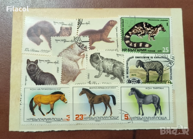България Лот пощенски марки фауна