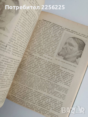 Частна хирургия ( том 1), снимка 5 - Специализирана литература - 54183792