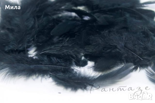 Пера, снимка 4 - Декорация за дома - 31498455