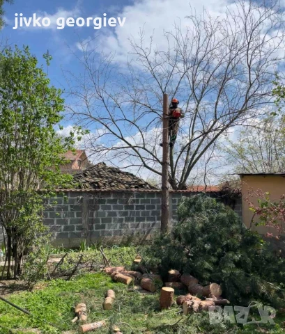 арборизъм и премахване на опасни дървета, снимка 2 - Други - 49638221