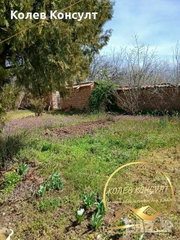 🥇 Агенция “Колев Консулт” продава едноетажна къща в село Елена област Хасково , снимка 3 - Къщи - 53994177