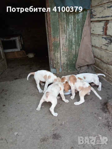 Продавам, снимка 1