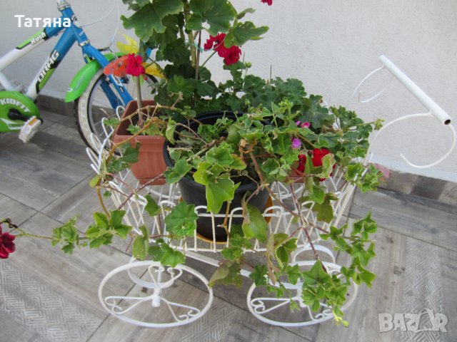 количка  за декорация  на цветя и кашпи, снимка 6 - Градински мебели, декорация  - 29998288