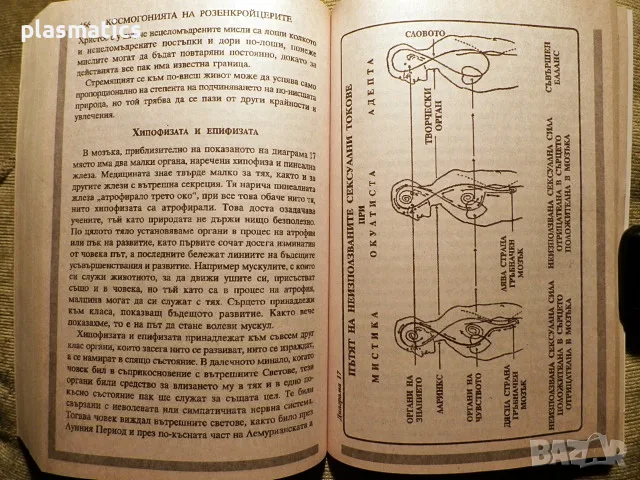 Макс Хайндел - Животът в отвъдното, прераждането, съдбата и..., снимка 13 - Езотерика - 16532730