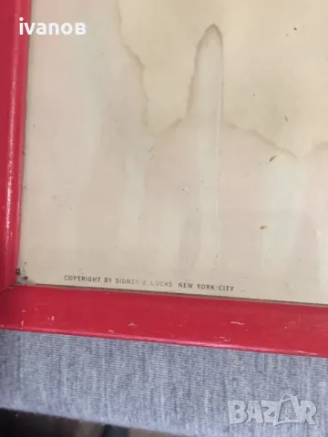 три  Цветни литографии Папагали   Печат , снимка 8 - Картини - 49608857