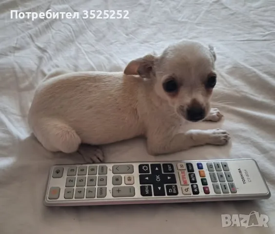 МОМИЧЕ С  2- ВАКСИНИ И ХИГИЕНИ НАВИЦИ !