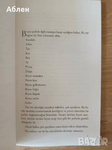 Han Kang. Beyaz Kitap, 2024. , снимка 4 - Художествена литература - 49918568