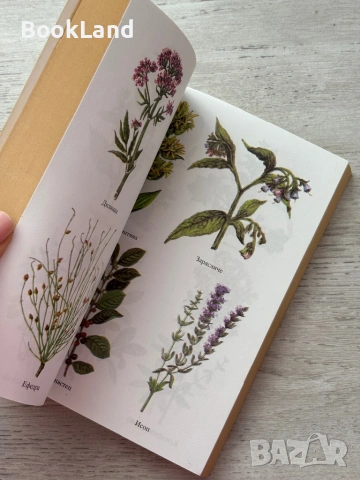 Лековити билки| Как народът се лекува , снимка 10 - Други - 53200270