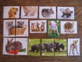 Картинки стикери лепенки Фантастико - Бебета животни, снимка 1 - Колекции - 31985620