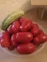 СЕМЕНА от домати, пипер, камби и др. , снимка 2
