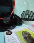 Кафемашина с гаранция 1 година NESCAFÉ® Dolce Gusto Krups Mini Me.Gray за капсули Долче густо Крупс, снимка 2