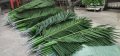 Изкуствени палми и покривала от палмови листа., снимка 2