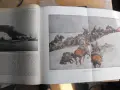 Der Krieg 1914-1919 in Wort und Bild /на немски език/., снимка 10