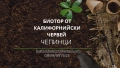 📦 Компост от Прегоряла Трева-Рай Грас 50л чували, снимка 1