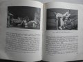 Болгарский театр - Константин Державин. 1950 г. История на българския театър., снимка 7