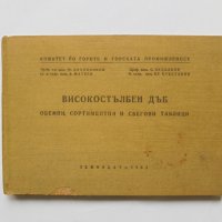 Книга Високостъблен дъб Обемни, сортиментни и сбегови таблици 1963 г., снимка 1 - Специализирана литература - 31621004