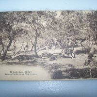 Стара пощенска картичка от Lacanau Франция, снимка 1 - Филателия - 42798300