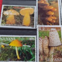 Пощенски марки чиста комплектна серия Гъби стари редки за колекция декорация - 22047, снимка 2 - Филателия - 36642280