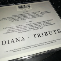 DIANA TRIBUTE X2 CD 0603241716, снимка 5 - CD дискове - 44638680