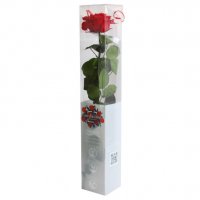 Луксозна вечна роза в опаковка BEAUTY & THE BEAST, снимка 3 - Романтични подаръци - 31691278