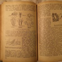 Старинни медицински книги и учебници, снимка 5 - Енциклопедии, справочници - 31202530