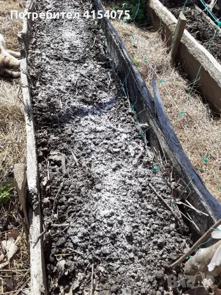 каменно брашно, снимка 1