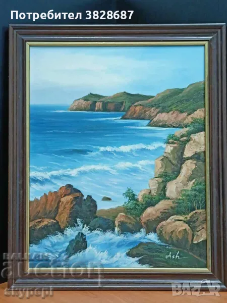 Морски пейзаж, снимка 1