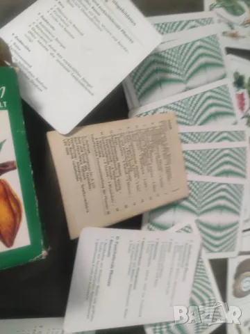 Продавам Тесте карти Растения ГДР, снимка 10 - Карти за игра - 47393625