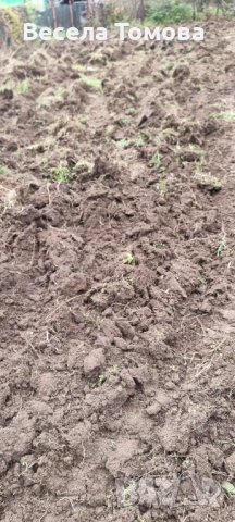 Почистване на дворове,косене,оране ,фрезоване, снимка 4 - Други почистващи услуги - 53204667