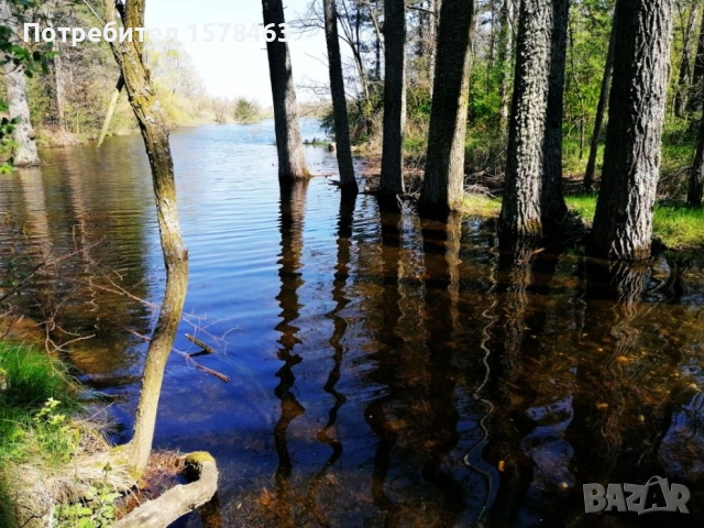 Продавам 120 декара-гори, снимка 5 - Земеделска земя - 52658500