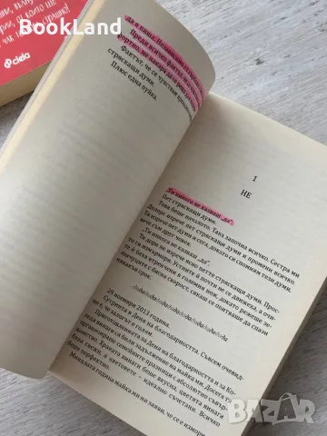 Годината, в която казвах ДА, Шонда Раймс , снимка 10 - Други - 49841707